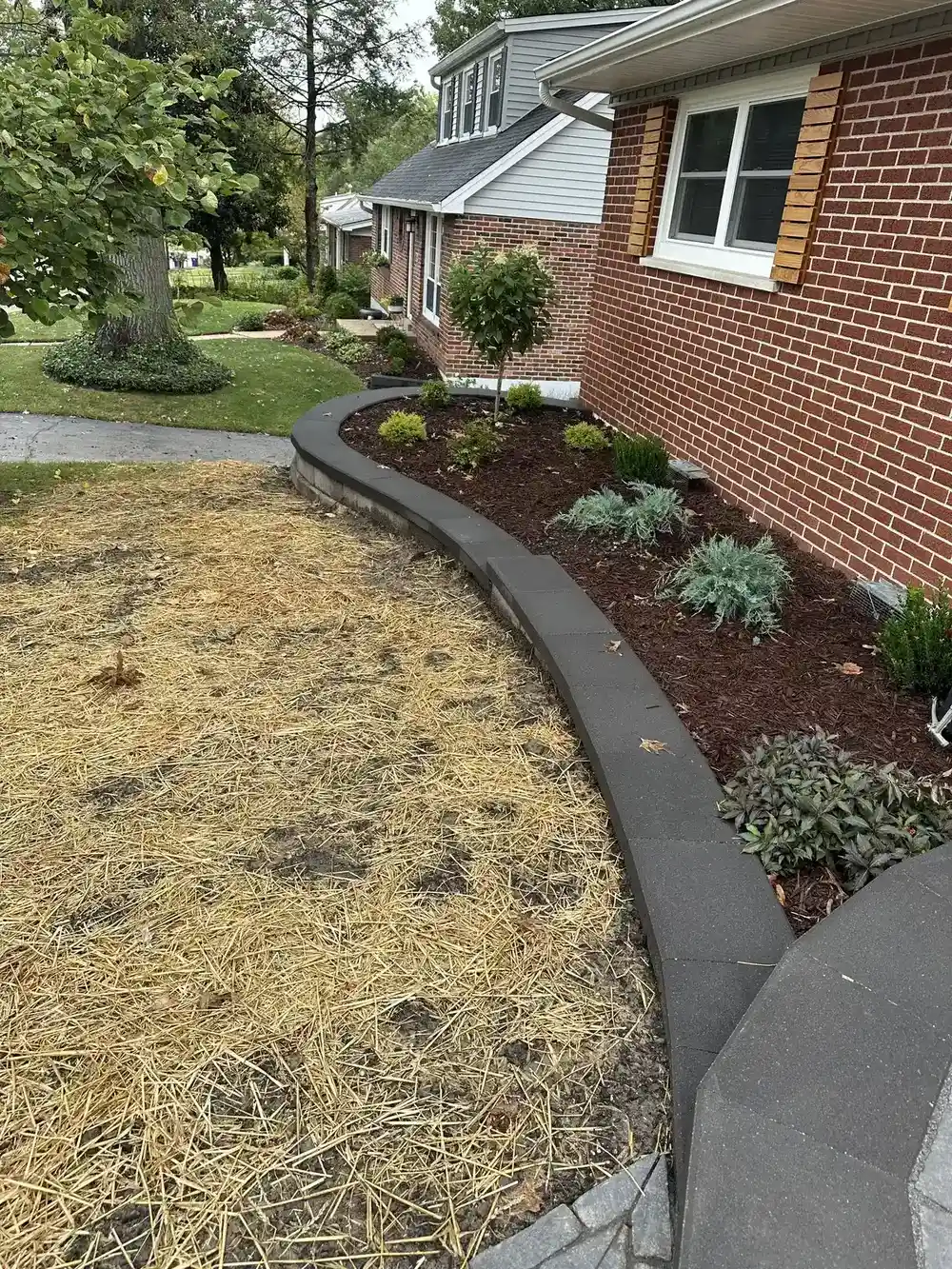 Fresh landscape bed with paver border and straw-protected planting area